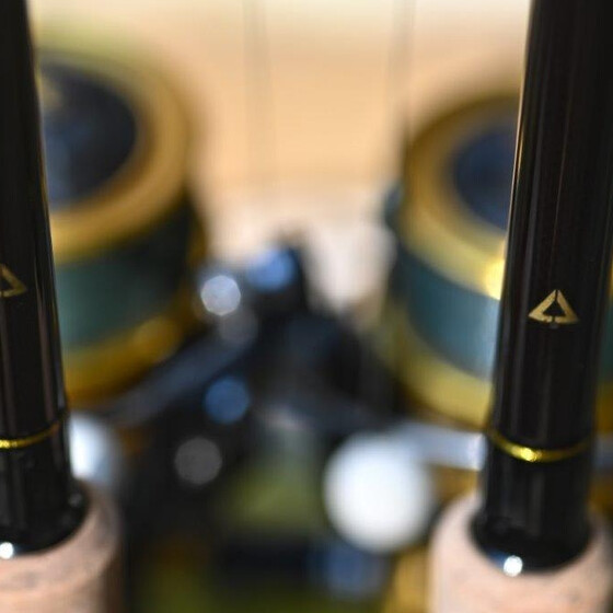 Carp 10ft 3,50lbs RED