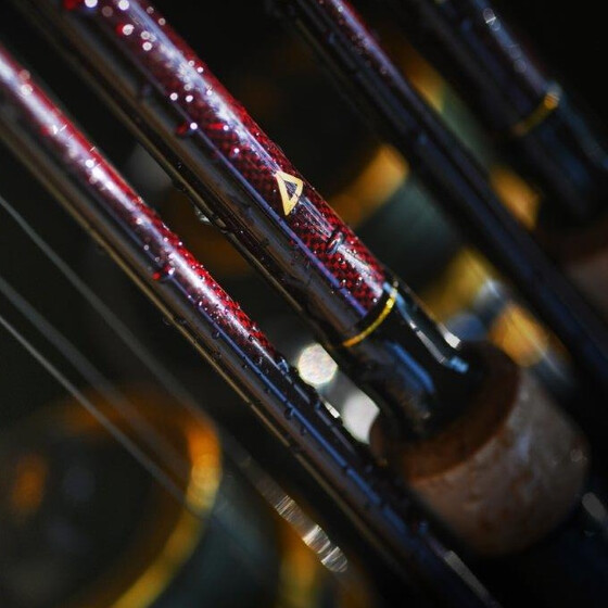 Carp 12ft 3,50lbs RED