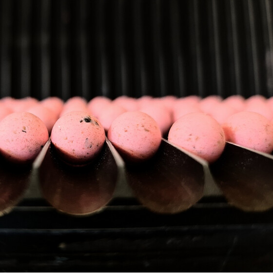 Special Pop Ups  Pinky Pantherzzz