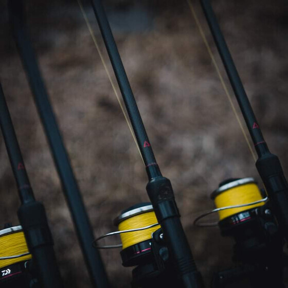 FLANX Inceptor 10ft / 2,5lbs Vollduplon